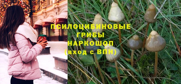 бутират Арсеньев