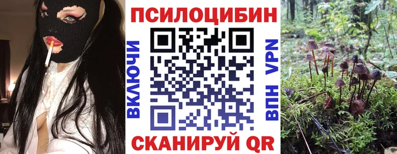 Псилоцибиновые грибы прущие грибы купить наркоту площадка состав Борисоглебск